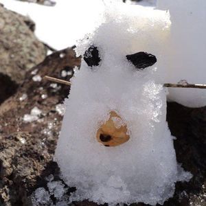 Meet your Posher, Josh